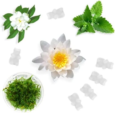 شمع الصويا اللوتس الأبيض من هابي واكس يذوب الشمع المعطر الممزوج بالزيوت العطرية، مثالي لإذابة الشمع أو المكعب أو سخان التارت - روائح الزهور واللوتس والمسك، 6 أونصة إجمالية متعددة العبوات in Kuwait