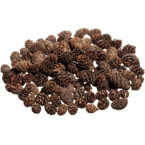 Pine Cones | 100 Small Pine Cones 3/4"-1 1/4" | 6 oz Mini Black Spruce Pine Cones | Pine Cone Filler in Kuwait