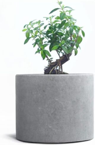 جيهتو مجموعة قوالب دائرية كبيرة من السيليكون - وعاء خرساني للنباتات الداخلية يمكنك تركيبه بنفسك مع ملمع محمول باليد، غلاف قوي، قالب صينية مطابقة، قالب سيليكون مرن - مثالي لاواني زهور تيرازو in Kuwait