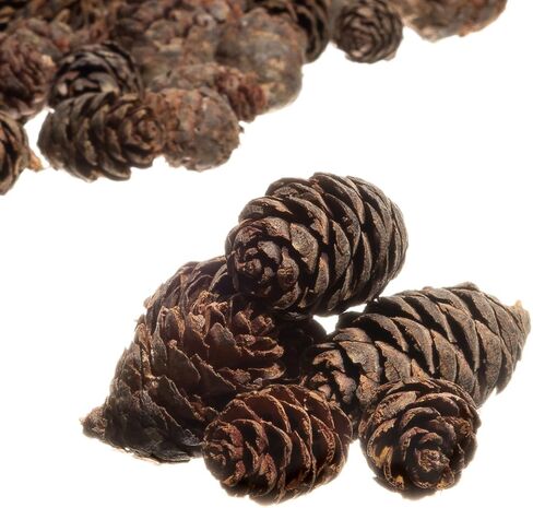 Pine Cones | 100 Small Pine Cones 3/4"-1 1/4" | 6 oz Mini Black Spruce Pine Cones | Pine Cone Filler in Kuwait