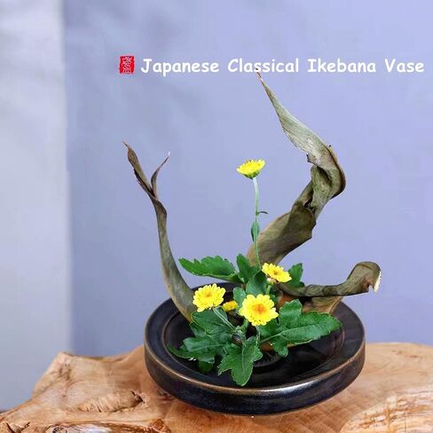 Japanese Classical Ikebana Vase Kit, Minimalist Ceramics Flower Pot Flower Shallow Container with 2.4inch Flower Frog and 2-in-1 Flower Arrangement Kenzan Needle Straightening Tool in Kuwait