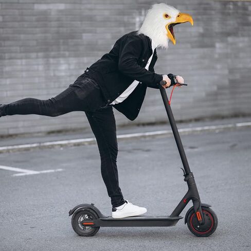 موكري بارتي قناع راس النسر الابيض على شكل طائر حيوان، قناع لاتكس مشعر، قناع تنكري للهالوين والكرنفالات in Kuwait