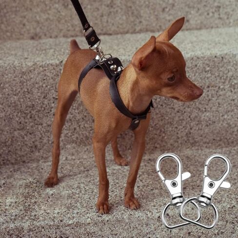 DANGLING 20PCS Swivel Clasps Lanyard Snap Hooks, Keychain Hooks Clips D Ring, Clasp Hardware Lobster Claw for Crafts and Purse (Silver, 1 inch) (C-02) in Kuwait