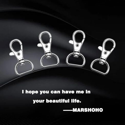 DANGLING 20PCS Swivel Clasps Lanyard Snap Hooks, Keychain Hooks Clips D Ring, Clasp Hardware Lobster Claw for Crafts and Purse (Silver, 1 inch) (C-02) in Kuwait