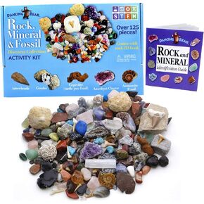 مجموعة أنشطة مجموعة الصخور والمعادن والأحفوريات من DANCEING BEAR (125+ قطعة وبدون حصى) 2 جيود وأمونيت وأسنان سمك القرش في المصفوفة وبراز متحجر ورؤوس سهام وورقة تعريف وكتاب صخري وتعليم علوم العلوم والتكنولوجيا والهندسة والرياضيات in Kuwait