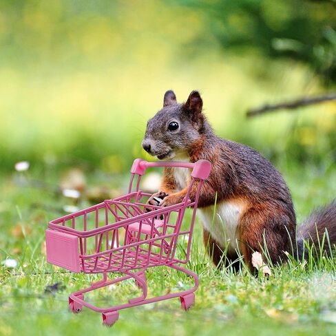 Mini Shopping Cart, Mixed Pretend Play Food with Mini Grocery Food Drinks Toys, Playfood Box Tiny Bottles Dessert Educational Toy for Dollhouse Kitchen in Saudi Arabia
