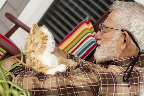 الفرح للجميع - القطة البرتقالية - حيوانات أليفة مصاحبة تفاعلية - واقعية ونابضة بالحياة in Kuwait