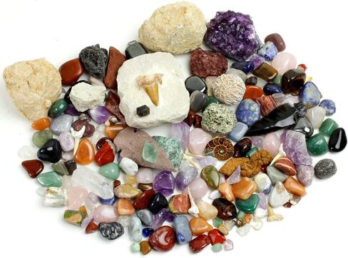 مجموعة أنشطة مجموعة الصخور والمعادن والأحفوريات من DANCEING BEAR (125+ قطعة وبدون حصى) 2 جيود وأمونيت وأسنان سمك القرش في المصفوفة وبراز متحجر ورؤوس سهام وورقة تعريف وكتاب صخري وتعليم علوم العلوم والتكنولوجيا والهندسة والرياضيات in Kuwait