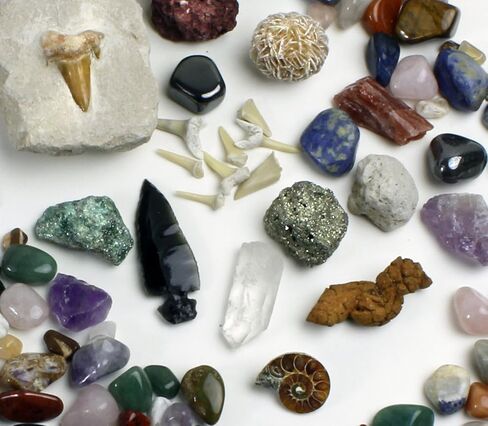 مجموعة أنشطة مجموعة الصخور والمعادن والأحفوريات من DANCEING BEAR (125+ قطعة وبدون حصى) 2 جيود وأمونيت وأسنان سمك القرش في المصفوفة وبراز متحجر ورؤوس سهام وورقة تعريف وكتاب صخري وتعليم علوم العلوم والتكنولوجيا والهندسة والرياضيات in Kuwait