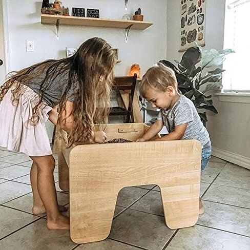 مجموعة أنشطة مجموعة الصخور والمعادن والأحفوريات من DANCEING BEAR (125+ قطعة وبدون حصى) 2 جيود وأمونيت وأسنان سمك القرش في المصفوفة وبراز متحجر ورؤوس سهام وورقة تعريف وكتاب صخري وتعليم علوم العلوم والتكنولوجيا والهندسة والرياضيات in Kuwait