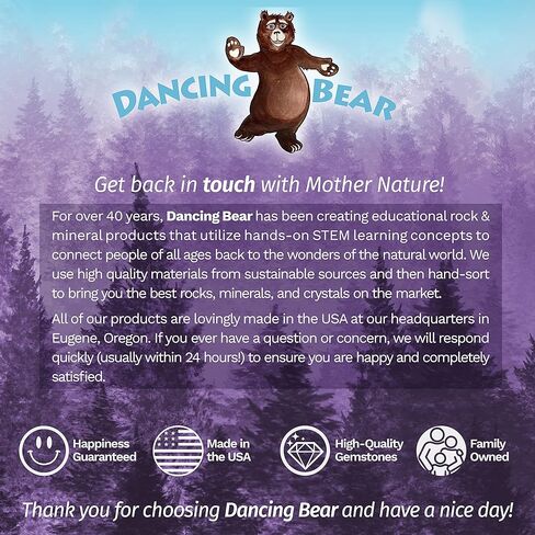 مجموعة أنشطة مجموعة الصخور والمعادن والأحفوريات من DANCEING BEAR (125+ قطعة وبدون حصى) 2 جيود وأمونيت وأسنان سمك القرش في المصفوفة وبراز متحجر ورؤوس سهام وورقة تعريف وكتاب صخري وتعليم علوم العلوم والتكنولوجيا والهندسة والرياضيات in Kuwait