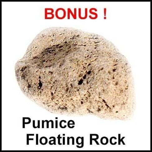 مجموعة أنشطة مجموعة الصخور والمعادن والأحفوريات من DANCEING BEAR (125+ قطعة وبدون حصى) 2 جيود وأمونيت وأسنان سمك القرش في المصفوفة وبراز متحجر ورؤوس سهام وورقة تعريف وكتاب صخري وتعليم علوم العلوم والتكنولوجيا والهندسة والرياضيات in Kuwait