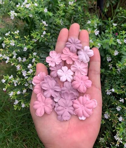 100 قطعة مصنوعة يدويًا من زهور التوت الورقية باللون الوردي الباستيل 30x30 مم لسكرابوكينغ الزفاف DIY لوازم الحرف اليدوية ورق البطاقات (زهور الكرز Sukura) in Kuwait