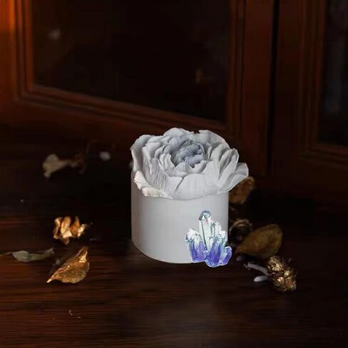 قوالب جص خرسانية لبرطمان الشموع - قالب برطمان شمع خرساني من السيليكون مع قوالب راتنج كبيرة على شكل زهرة الفاوانيا للاغطية in Kuwait