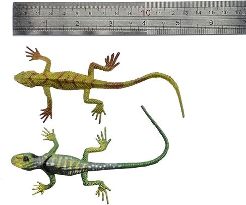BAINFE 12Pcs Fake Plastic Lizard Toys Colorful Rubber Lizards Action Figure Reptile Toy Lizard Realistic Favors Gag Toys Prank and Prop, 5.5" Lizards 12 Styles in Saudi Arabia