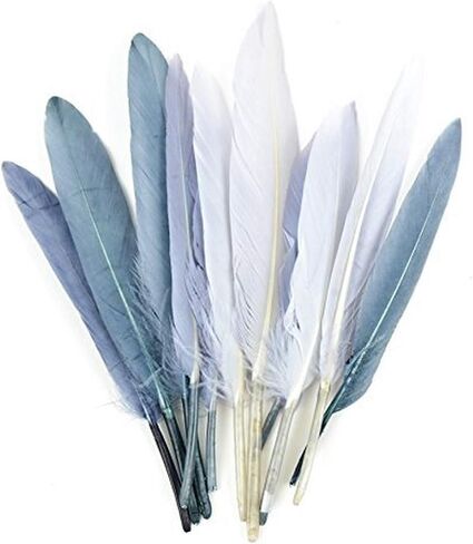 Touch of Nature 38372 Mini Turkey 24 Piece Quill Feathers Mix, 3", Gray/Ash Gray/Silver in Saudi Arabia