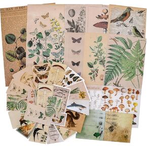 كنايد مجموعة ملصقات سجل القصاصات العتيقة، ملصقات ورقية للنباتات الزخرفية وزهرة وفراشة وفطر، مجموعة رترو طبيعية لمجلة غير المرغوب فيها والفنون والحرف اليدوية والالبوم والمجلات والمخططات in Kuwait