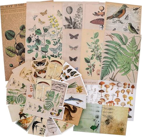 كنايد مجموعة ملصقات سجل القصاصات العتيقة، ملصقات ورقية للنباتات الزخرفية وزهرة وفراشة وفطر، مجموعة رترو طبيعية لمجلة غير المرغوب فيها والفنون والحرف اليدوية والالبوم والمجلات والمخططات in Kuwait