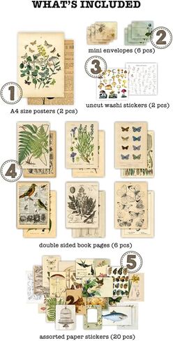 كنايد مجموعة ملصقات سجل القصاصات العتيقة، ملصقات ورقية للنباتات الزخرفية وزهرة وفراشة وفطر، مجموعة رترو طبيعية لمجلة غير المرغوب فيها والفنون والحرف اليدوية والالبوم والمجلات والمخططات in Kuwait