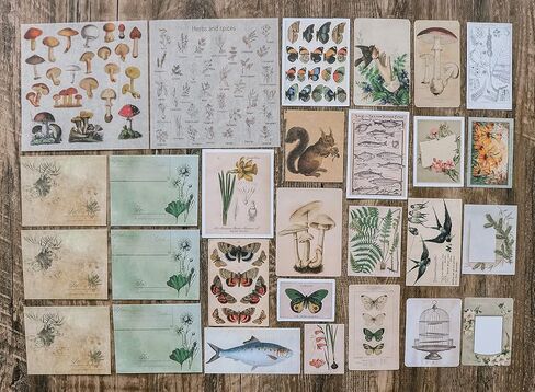 كنايد مجموعة ملصقات سجل القصاصات العتيقة، ملصقات ورقية للنباتات الزخرفية وزهرة وفراشة وفطر، مجموعة رترو طبيعية لمجلة غير المرغوب فيها والفنون والحرف اليدوية والالبوم والمجلات والمخططات in Kuwait