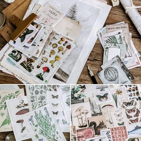 كنايد مجموعة ملصقات سجل القصاصات العتيقة، ملصقات ورقية للنباتات الزخرفية وزهرة وفراشة وفطر، مجموعة رترو طبيعية لمجلة غير المرغوب فيها والفنون والحرف اليدوية والالبوم والمجلات والمخططات in Kuwait