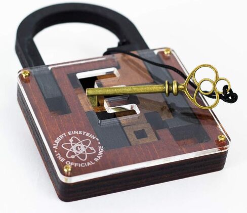 The Einstein Collection Lock Puzzle - Tricky padlock brain game - Professor Puzzle 3D Brain Teaser Puzzles. in Saudi Arabia