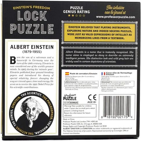 The Einstein Collection Lock Puzzle - Tricky padlock brain game - Professor Puzzle 3D Brain Teaser Puzzles. in Saudi Arabia