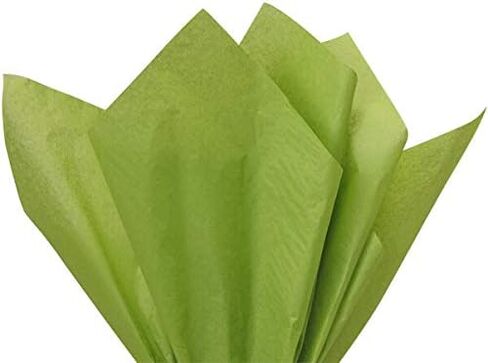 Oasis Green Tissue Paper 20 Inch X 30 Inch 48 Sheets Premium Gift Wrap Tissue Paper Made in USA in Saudi Arabia