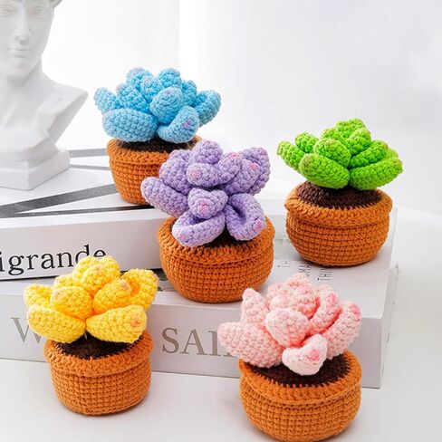 مجموعة أدوات كروشيه 22 قطعة من Foeipy، مجموعة نباتات كروشيه، طقم كروشيه للبالغين مع تعليمات وفيديوهات تعليمية، تعلم كيفية الحياكة، مستلزمات الحياكة بنفسك in Kuwait