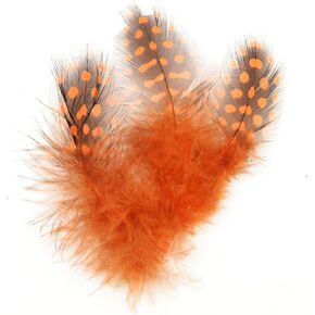 ديزاينر فيذرز 38308 ريش غينيا، برتقالي in Kuwait