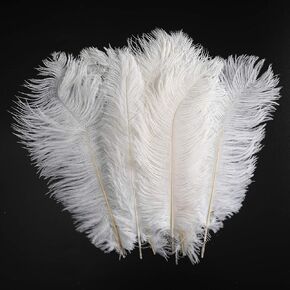 Ostrich Feathers Decoration Crafts Bulk - 20pcs Natural Plumas Decor for Home Wedding Party DIY Feather Erikord(7-10inch, Black) in Saudi Arabia