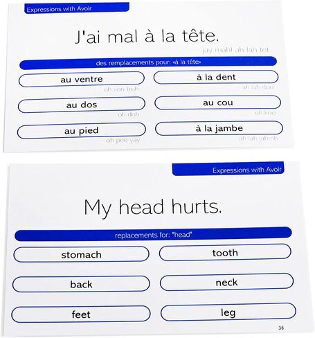 Pat's Flash Cards 250 Essential French Flash Cards Bundle in Kuwait