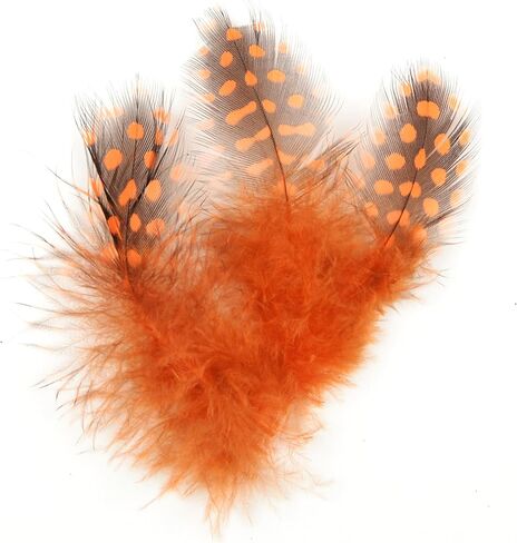 ديزاينر فيذرز 38308 ريش غينيا، برتقالي in Kuwait