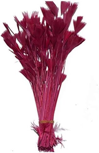 AMIZOB Pack of 100 Natural Dyed Turkey Flat Feathers 5-6inch Plumes Decoration Craft Accessories (Black) in Saudi Arabia