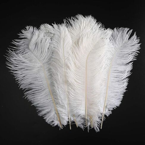 Ostrich Feathers Decoration Crafts Bulk - 20pcs Natural Plumas Decor for Home Wedding Party DIY Feather Erikord(7-10inch, Black) in Saudi Arabia