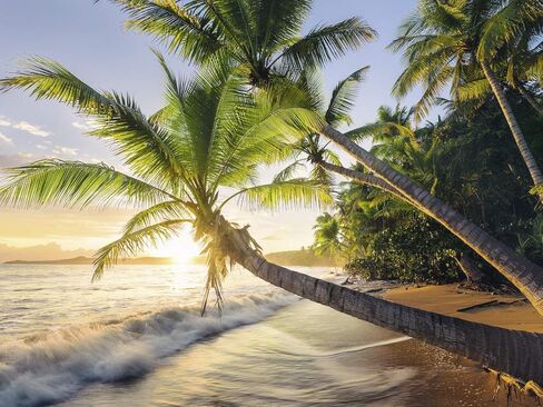Ravensburger 15015 Beach Hideaway Secret in Saudi Arabia