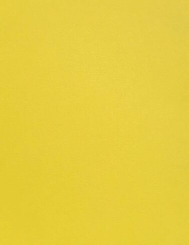 Cardstock Warehouse Colorplan ورق بطاقات مميز باللون الأزرق غير اللامع - 8.5 × 11 بوصة - 100 رطل / 270 جرامًا للمتر المربع - 25 ورقة in Saudi Arabia