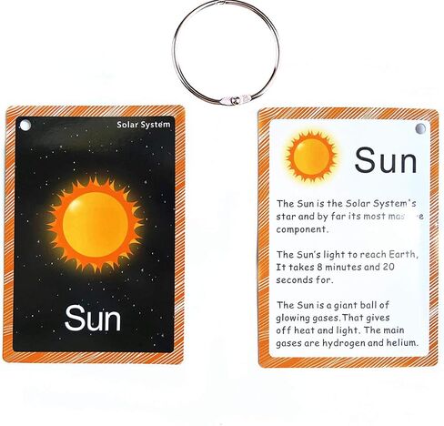 Set of Adjective&Antonym and Insect Flash Cards for Toddlers |Kids Learning Flashcard & Montessori Pocket Cards Toys | Perfect for Pre-K Decor Background Wall Stickers, Teacher/Autism Therapists Tools in Kuwait