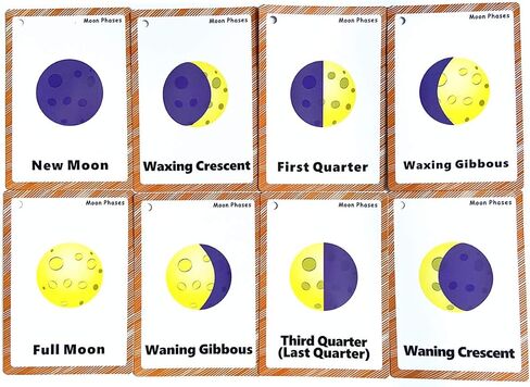 Set of Adjective&Antonym and Insect Flash Cards for Toddlers |Kids Learning Flashcard & Montessori Pocket Cards Toys | Perfect for Pre-K Decor Background Wall Stickers, Teacher/Autism Therapists Tools in Kuwait