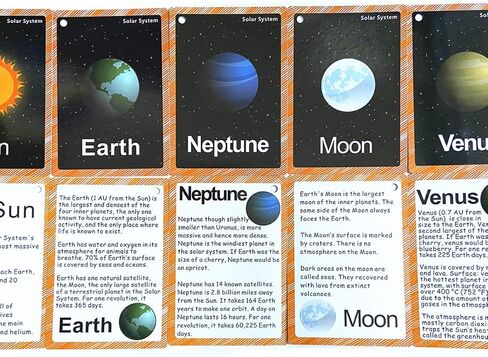 Set of Adjective&Antonym and Insect Flash Cards for Toddlers |Kids Learning Flashcard & Montessori Pocket Cards Toys | Perfect for Pre-K Decor Background Wall Stickers, Teacher/Autism Therapists Tools in Kuwait