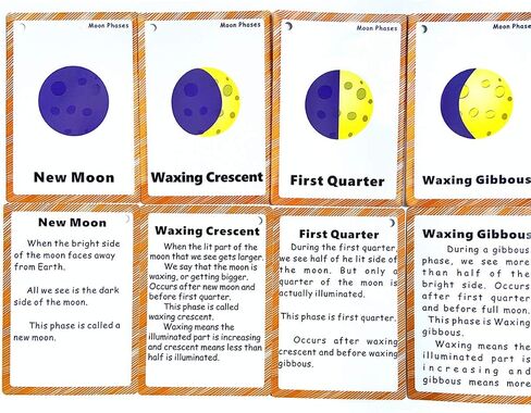 Set of Adjective&Antonym and Insect Flash Cards for Toddlers |Kids Learning Flashcard & Montessori Pocket Cards Toys | Perfect for Pre-K Decor Background Wall Stickers, Teacher/Autism Therapists Tools in Kuwait