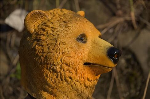 بارتي ستوري قناع لاتكس بتصميم راس حيوان على شكل دب مطاطي للهالوين (اصفر), اصفر, مقاس واحد in Kuwait