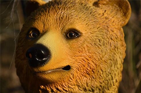 بارتي ستوري قناع لاتكس بتصميم راس حيوان على شكل دب مطاطي للهالوين (اصفر), اصفر, مقاس واحد in Kuwait