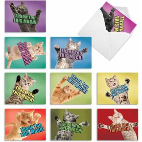 مجموعة The Best Card Company 10 بطاقات شكر متنوعة في صندوق مقاس 4 × 5.12 بوصة مع أظرف (10 تصميمات، 1 لكل منها) خرخرة أرجوانية: 10 بطاقات ملاحظات متنوعة M2966