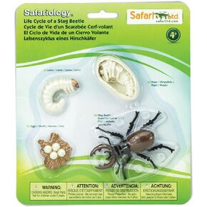 Safari Ltd. Life Cycle of a Stag Beetle - Educational Toy Figurines - Miniature Beetle Lifecycle Collection for Boys, Girls & Kids Age 4+ in Kuwait
