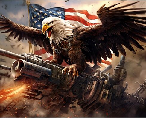 Tucocoo American Flag DIY Paint by Numbers for Kids Flying Eagle Painting Kits for Adults Beginners Freedom Bird DIY Oil Painting Picture Art Home Wall Decoration Gifts 16''x20''Inch Frameless in Kuwait