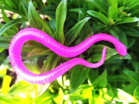 UpBrands 24 Stretchy Snakes Toys 6 Inches Bulk Set, 8 Glitter Colors, Kit for Birthday Party Favors for Kids, Goodie Bags, Easter Egg Basket Stuffers, Pinata Filler, Small Classroom Prizes in Kuwait