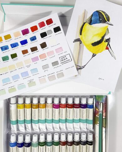COLOUR BLOCK 32 Ultimate Watercolor Paint Set for Adults and Artists, Contains 24 Vibrant Colors, 2 Brushes, 6 Sheets Watercolor Paper, Perfect for School Supplies in Kuwait