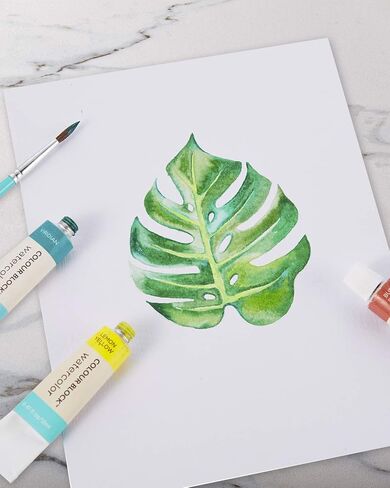 COLOUR BLOCK 32 Ultimate Watercolor Paint Set for Adults and Artists, Contains 24 Vibrant Colors, 2 Brushes, 6 Sheets Watercolor Paper, Perfect for School Supplies in Kuwait