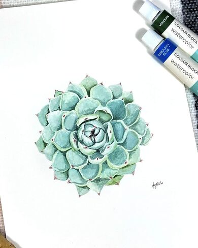 COLOUR BLOCK 32 Ultimate Watercolor Paint Set for Adults and Artists, Contains 24 Vibrant Colors, 2 Brushes, 6 Sheets Watercolor Paper, Perfect for School Supplies in Kuwait